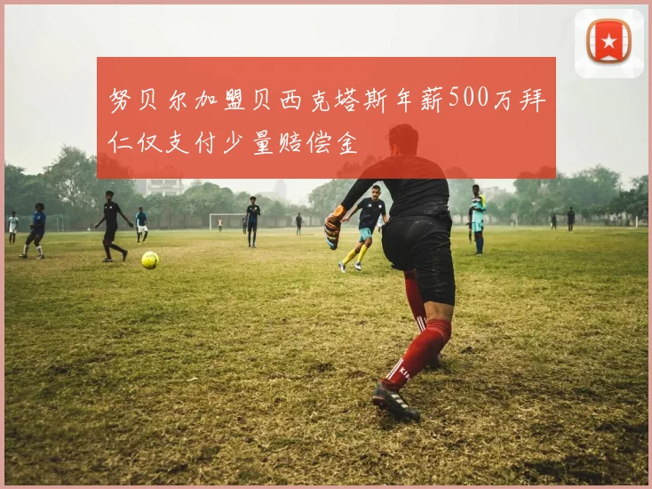 努贝尔加盟贝西克塔斯年薪500万拜仁仅支付少量赔偿金
