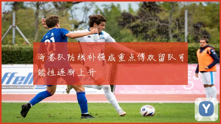 海港队防线补强成重点傅欢留队可能性逐渐上升
