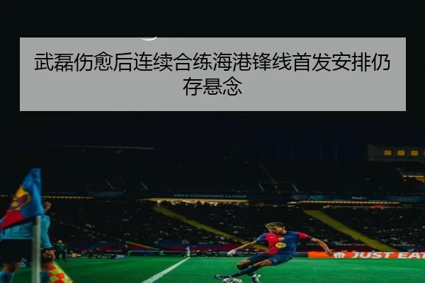 武磊伤愈后连续合练海港锋线首发安排仍存悬念（HG）